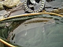 2007-05-16 008.JPG